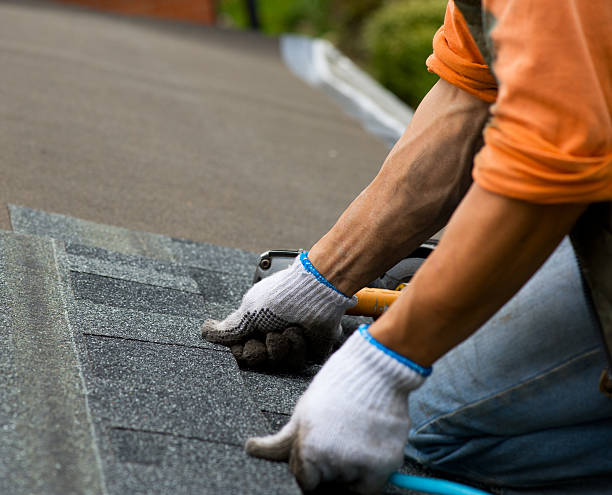 Best Metal Roofing Contractor  in Summerde, AL